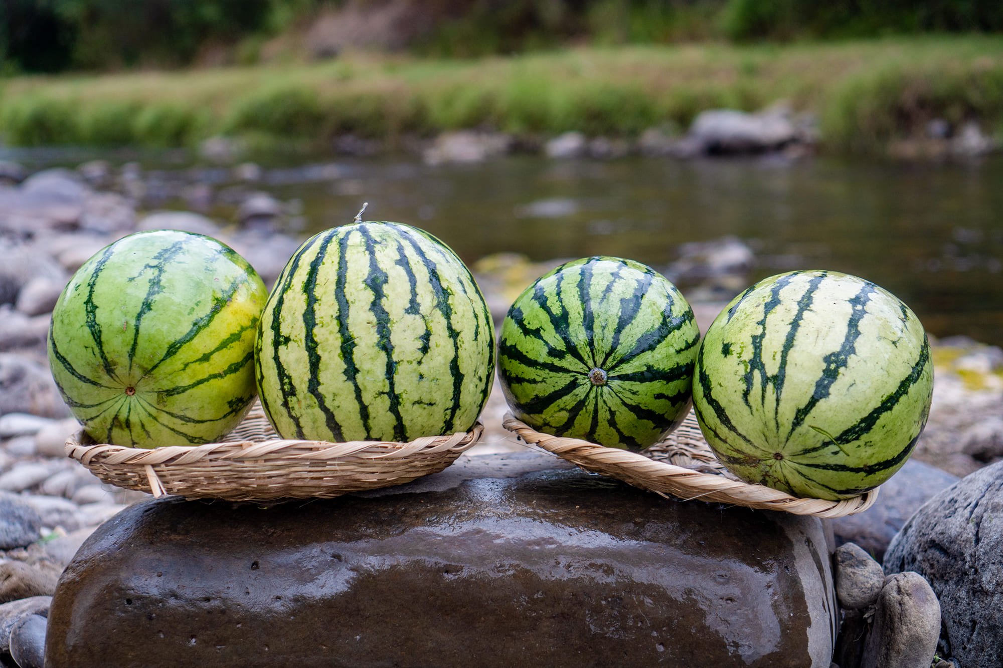 sandia2