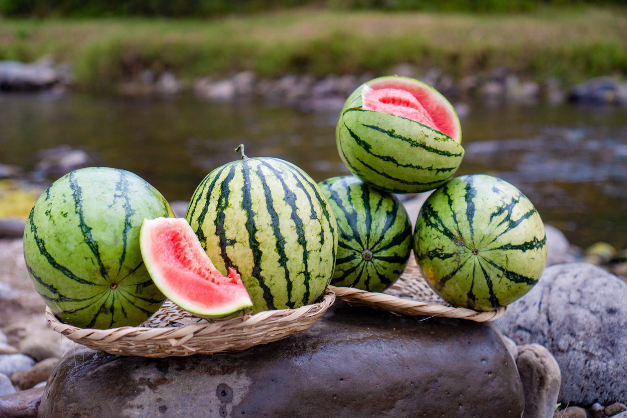 sandia1