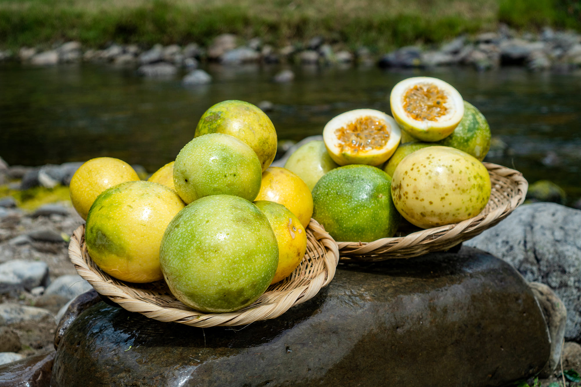 maracuya 2