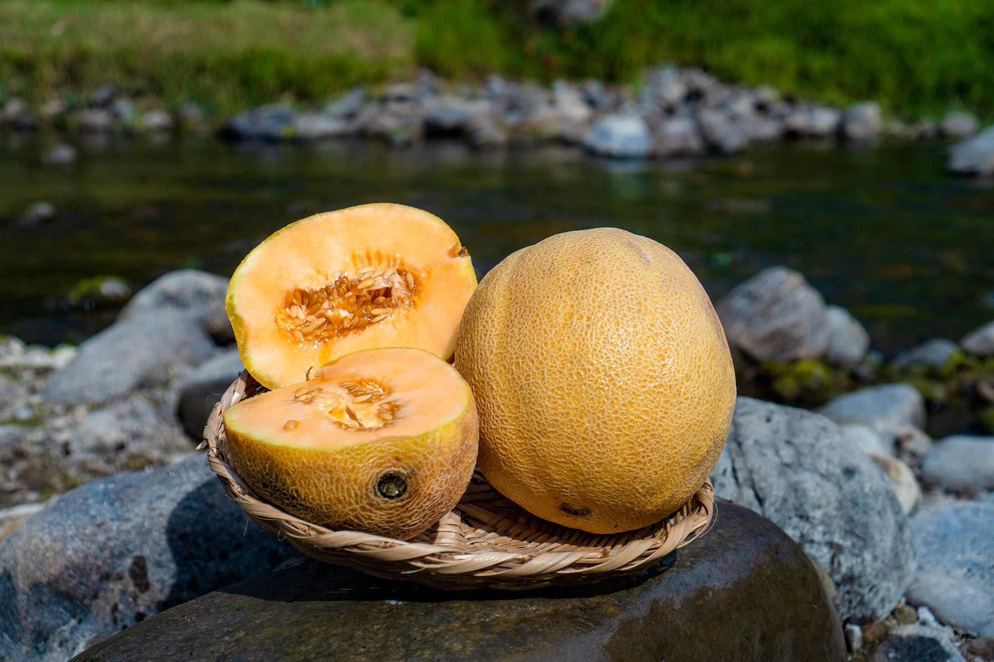 melon1