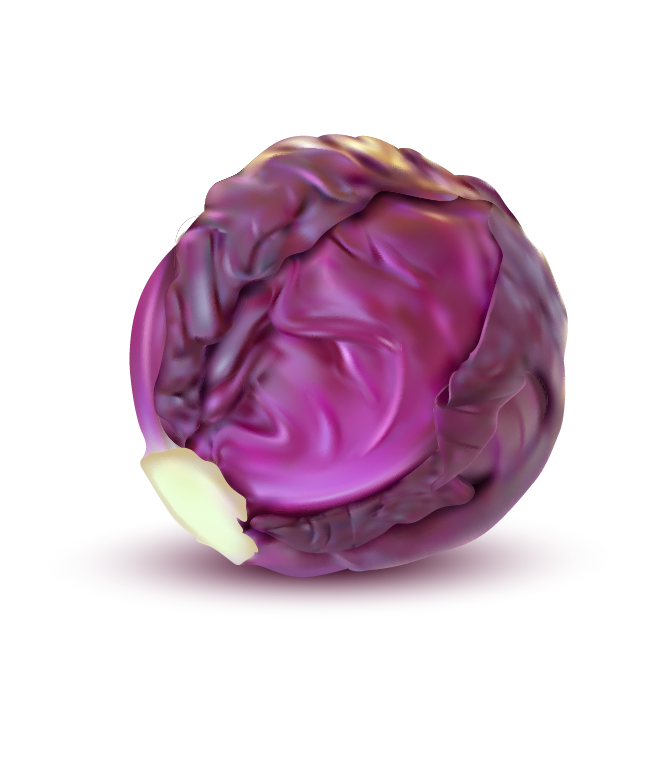 repollo