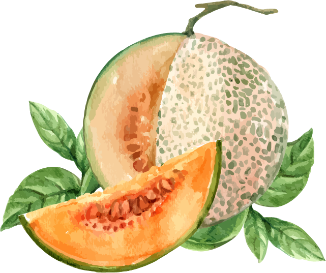 mata de Melon fondo
