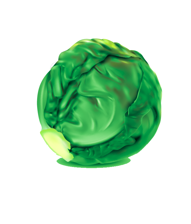 lechuga lisa