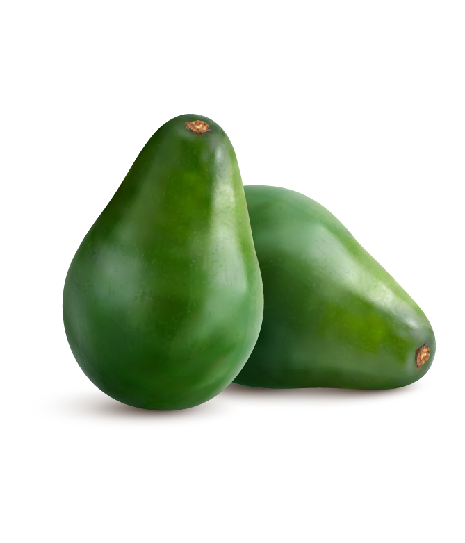 aguacate