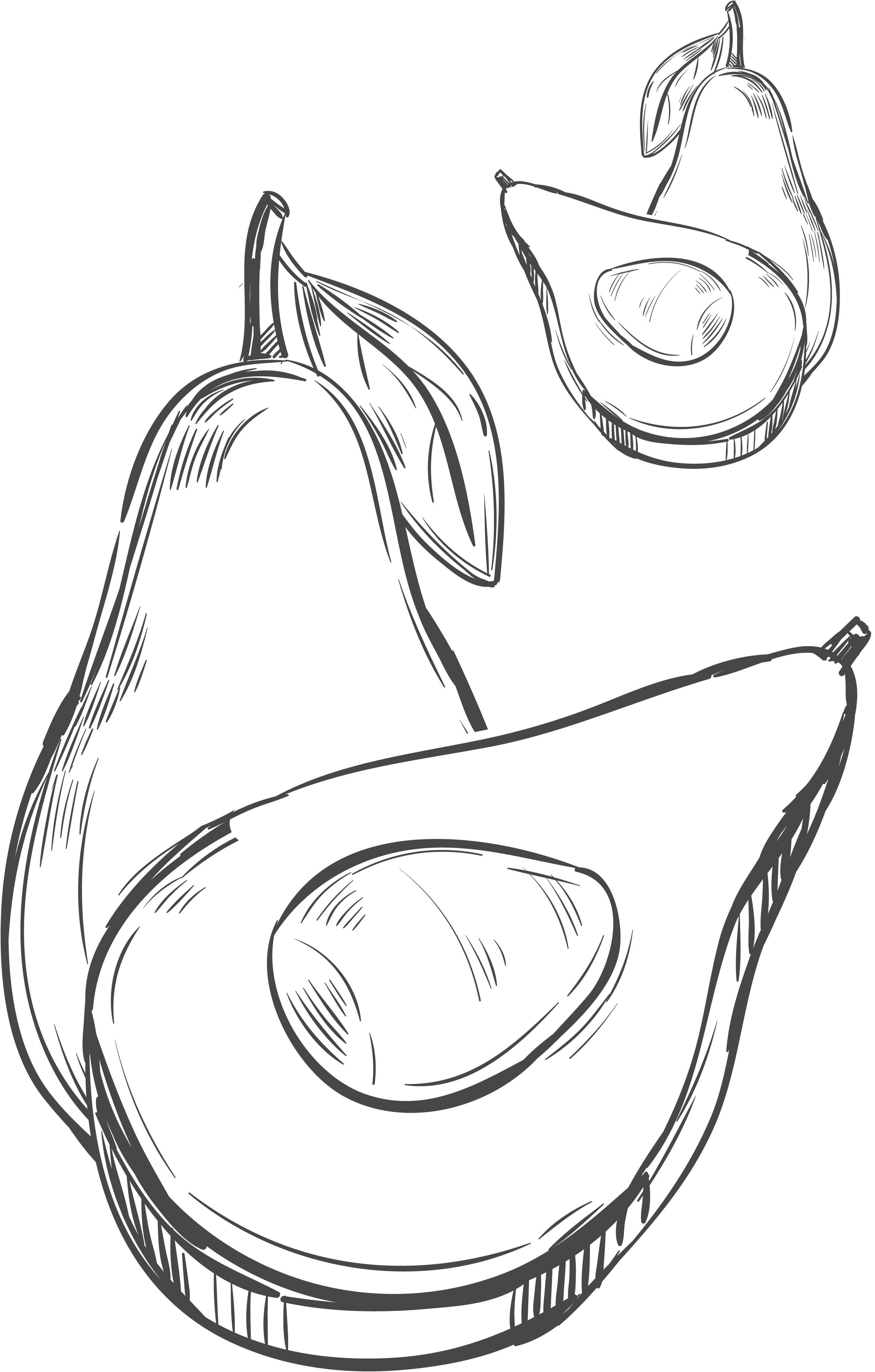 fondo_aguacate