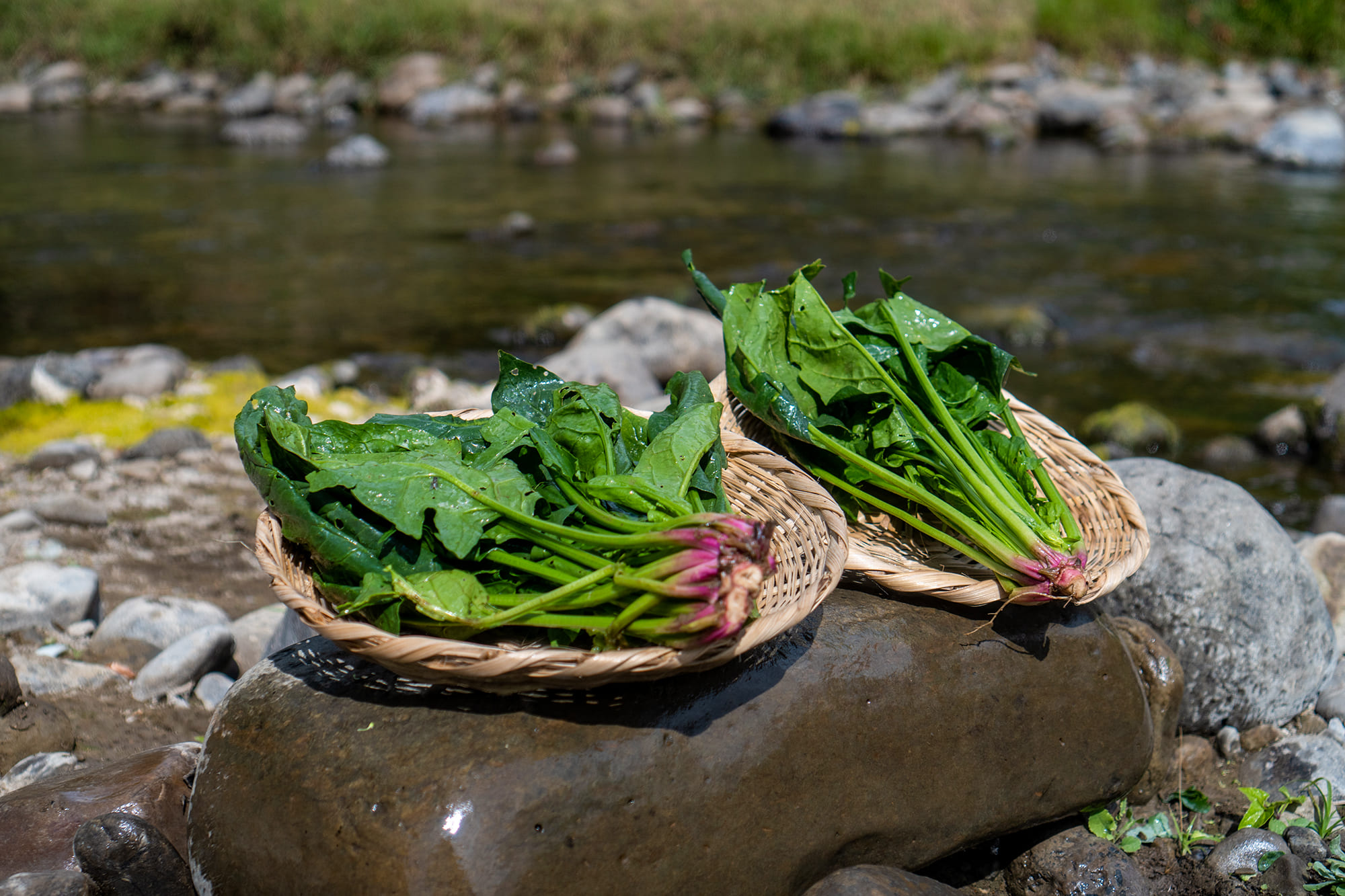 espinaca