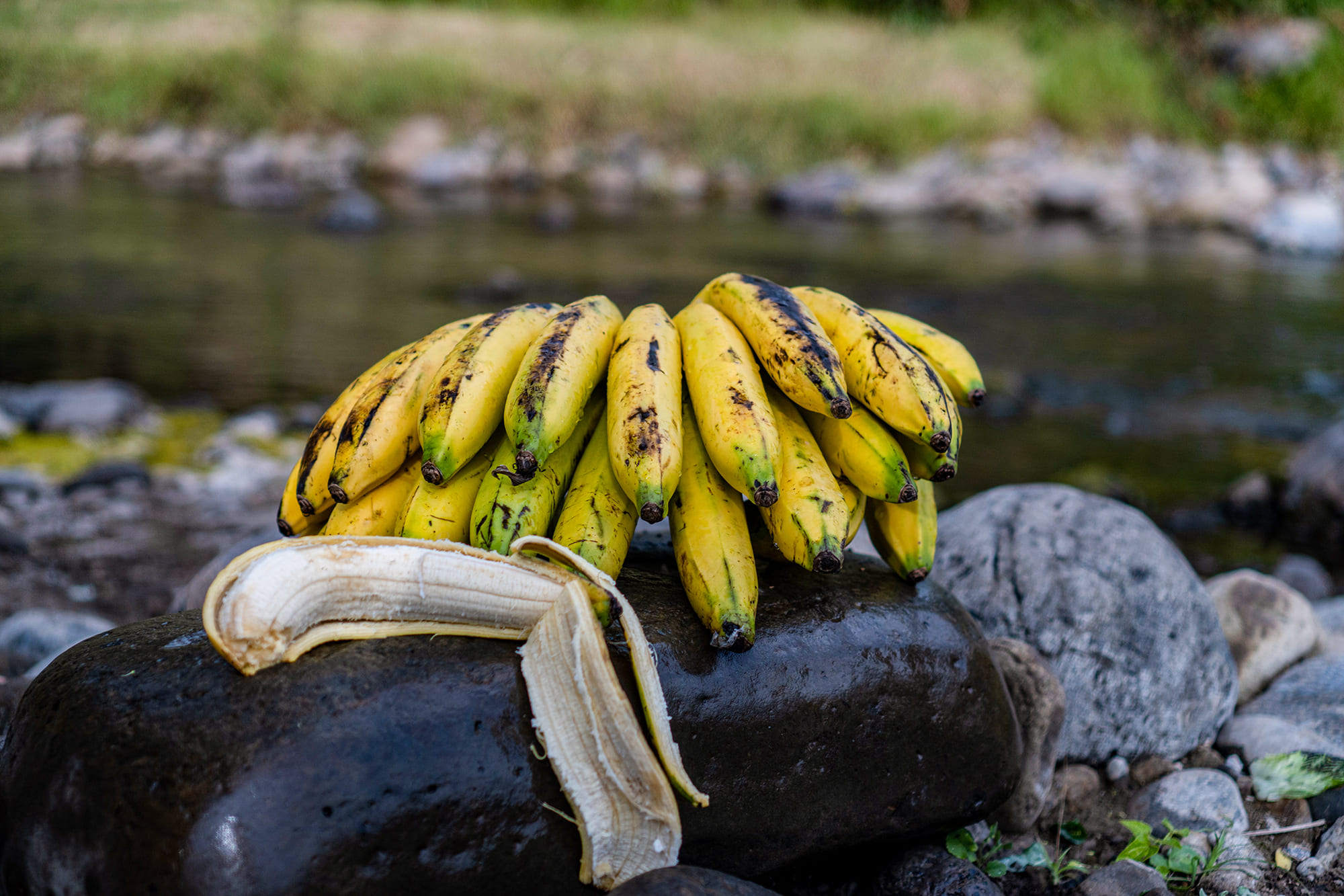 banano