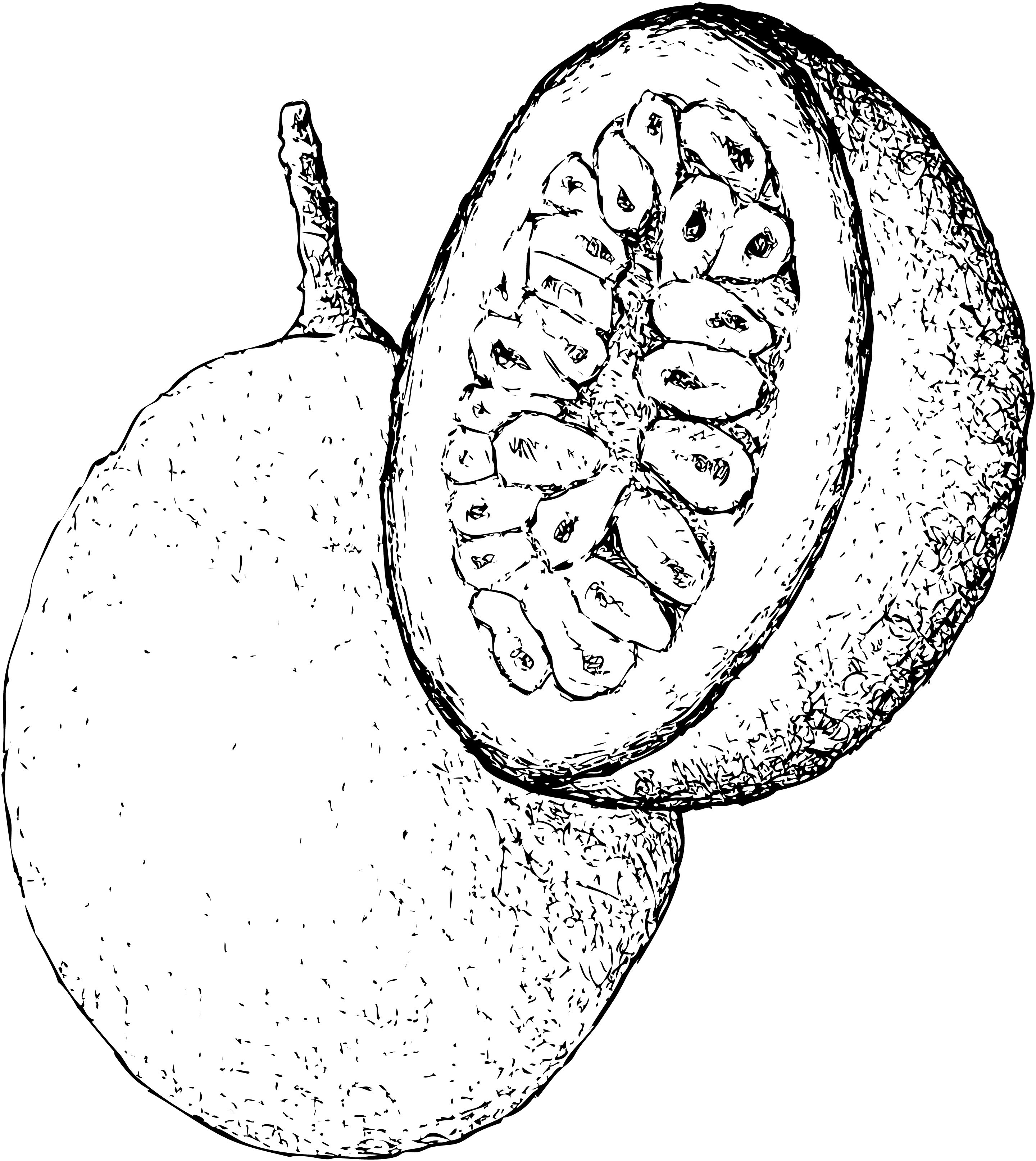 gulupa