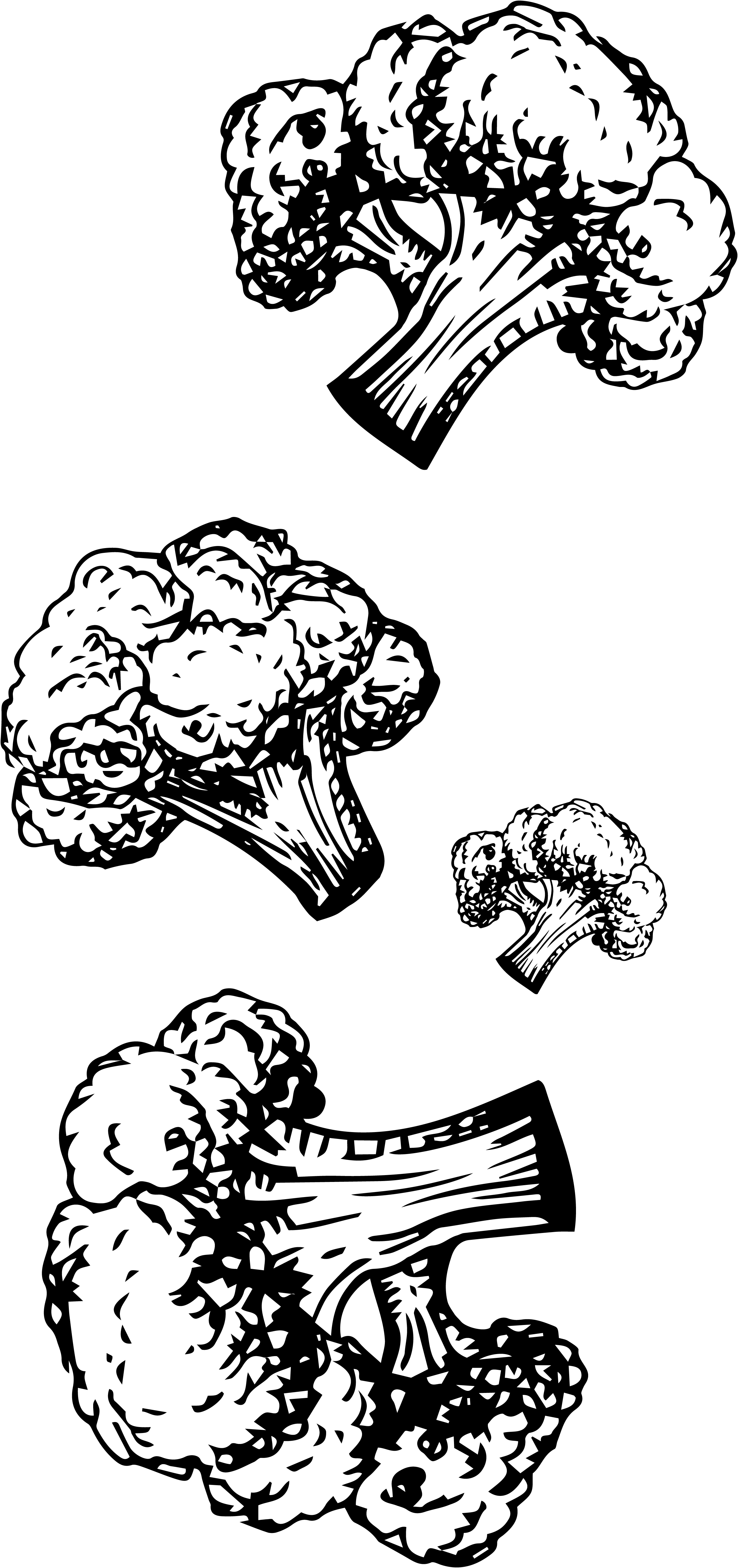 brocoli_fondo