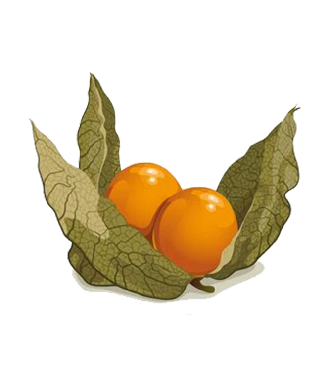 uchu