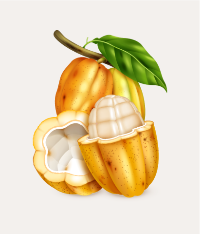 ca
