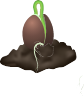 Semilla 1